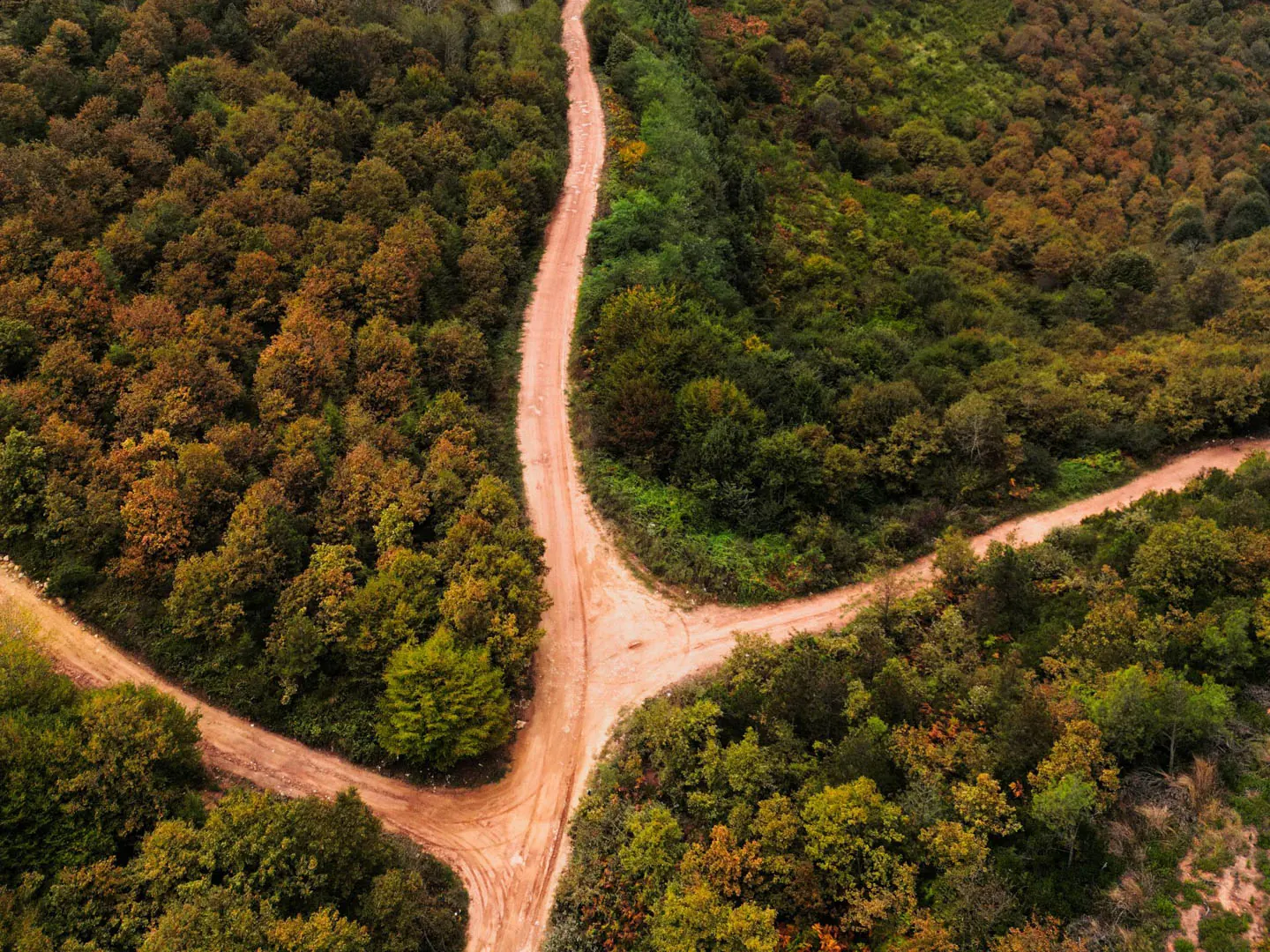 Aerial view of a dirt road forking into several paths through autumn forest